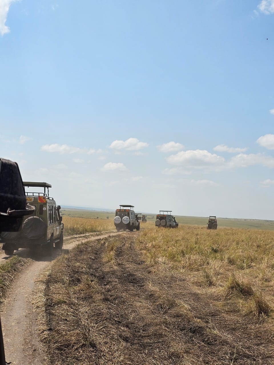 Safari vehicles convoy in the savanna